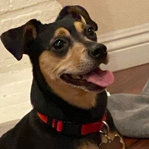 Meet your Posher, Sean